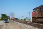 CN 5610